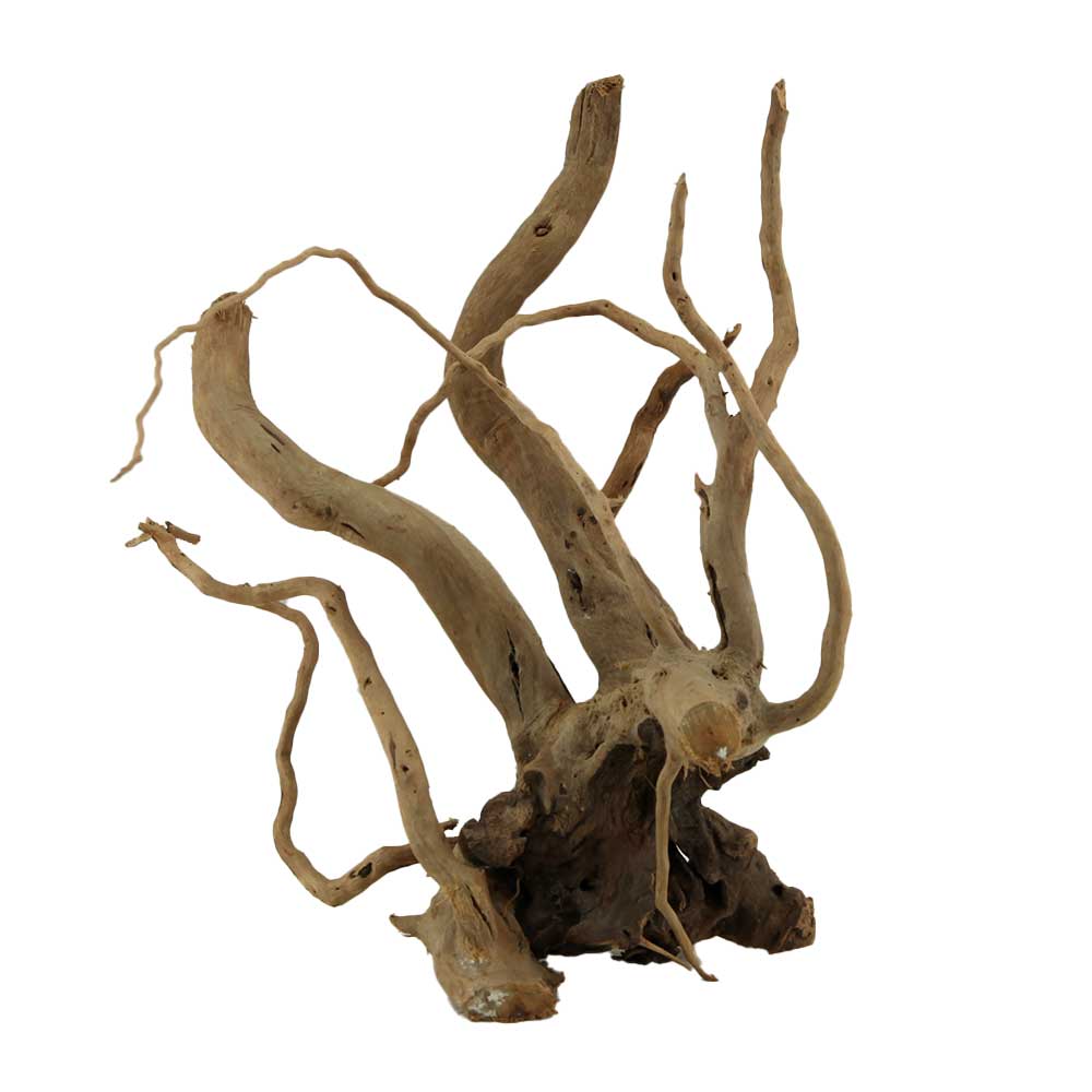 Legno Branch Wood 2109 con foto reale e misure 18x13x24h cm