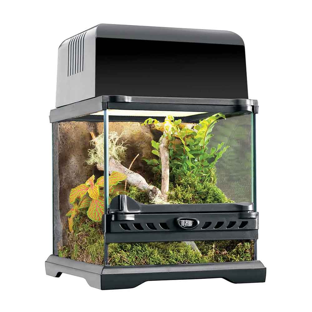 Exoterra Terrario Natural Terrarium Nano Wide 20x20x20h cm