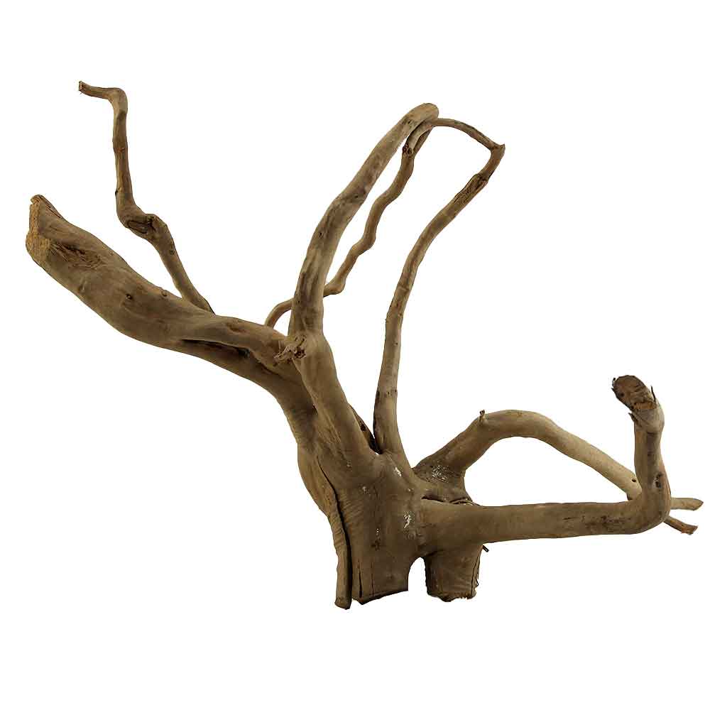 Legno Branch Wood 2111 con foto reale e misure 49x30x35h cm