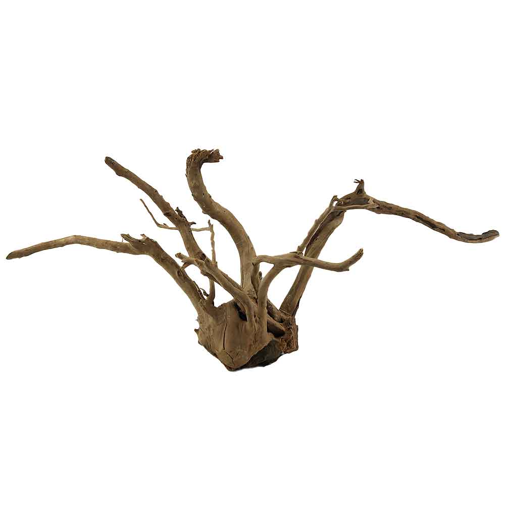 Legno Branch Wood 2112 con foto reale e misure 72x25x32h cm