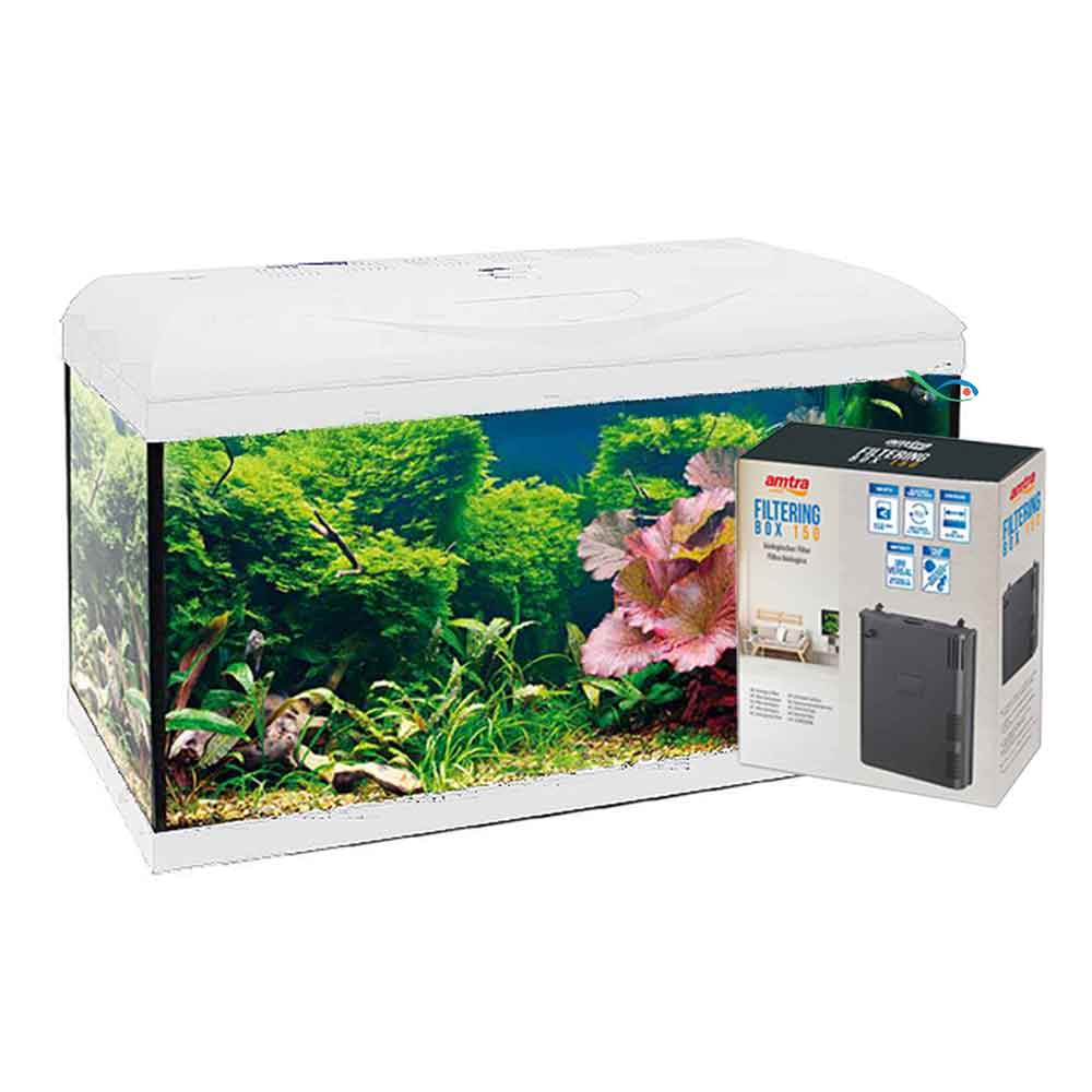 Amtra Basic 80 Acquario Led Bianco con Filtering Box 150 85lt 80x32x47h cm
