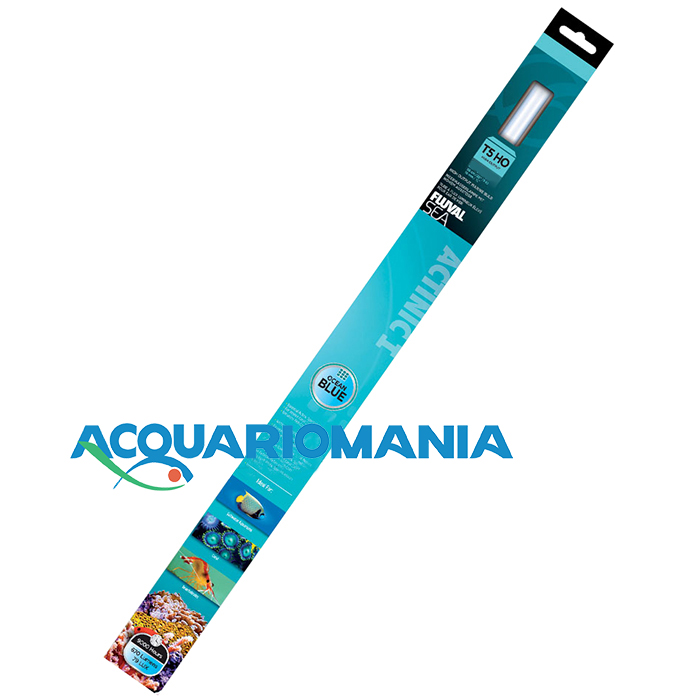 Askoll Fluval Actinic I Lampada a neon T5 24W 550mm