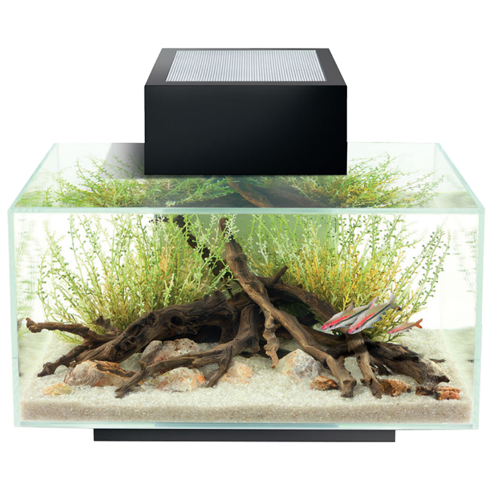 Askoll Acquario Fluval Edge 2.0 Led e Luce lunare 23Lt Black 43x26x22,4