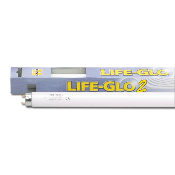 Askoll Lampada a neon Life Glo T8 30W 895mm