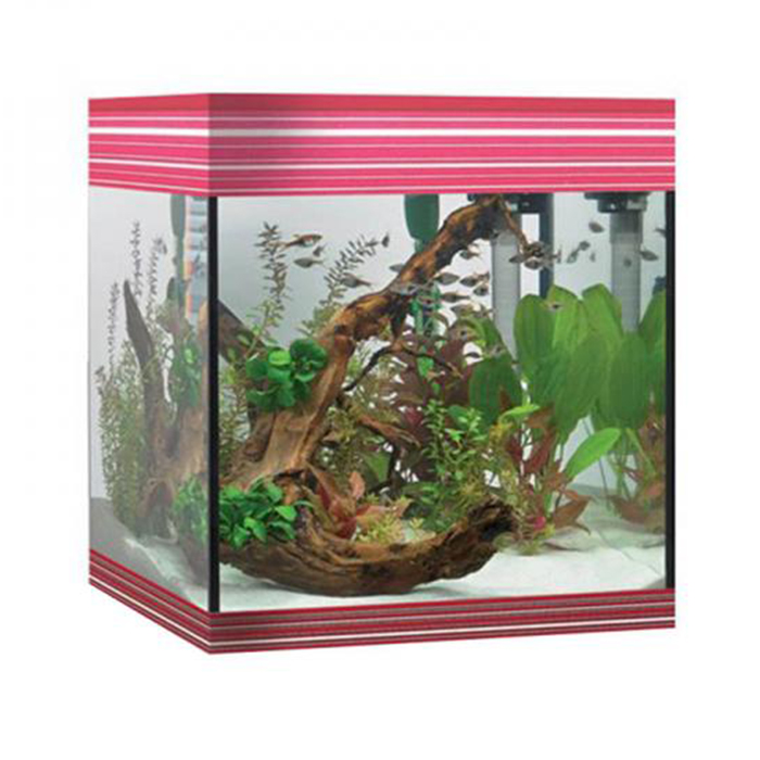 Askoll Acquario Pure LED M Ambitious Burgundy 36x36x43,5h cm 44Lt