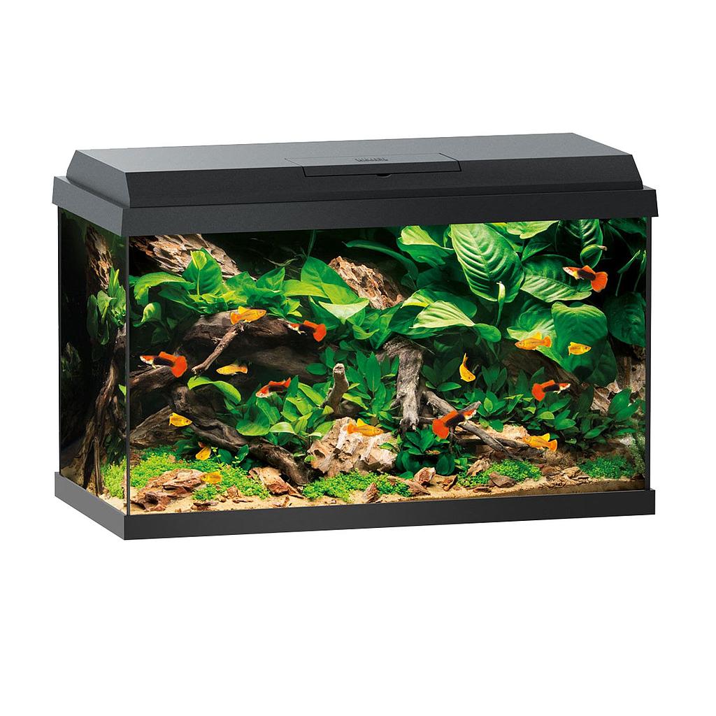 Juwel Acquario Primo 60 Led Nero 57 Litri  61x31x37H cm
