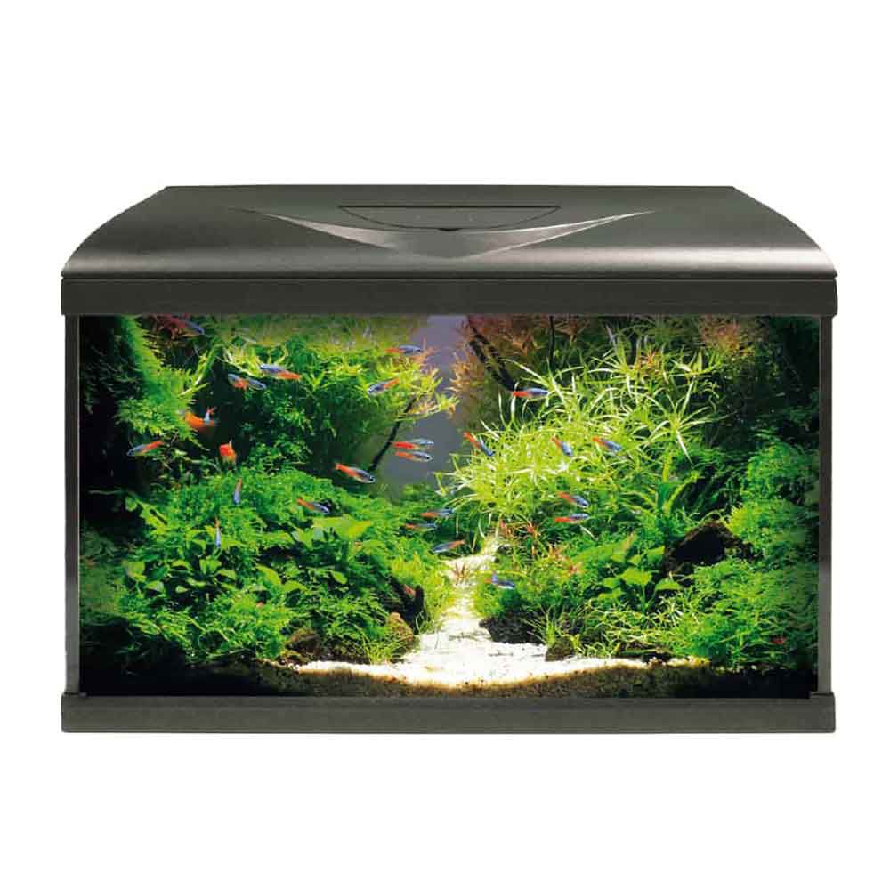 Amtra Acquario System  Tank V2 60 Led con Filtering Box completo Nero 65lt 60x30x42h cm