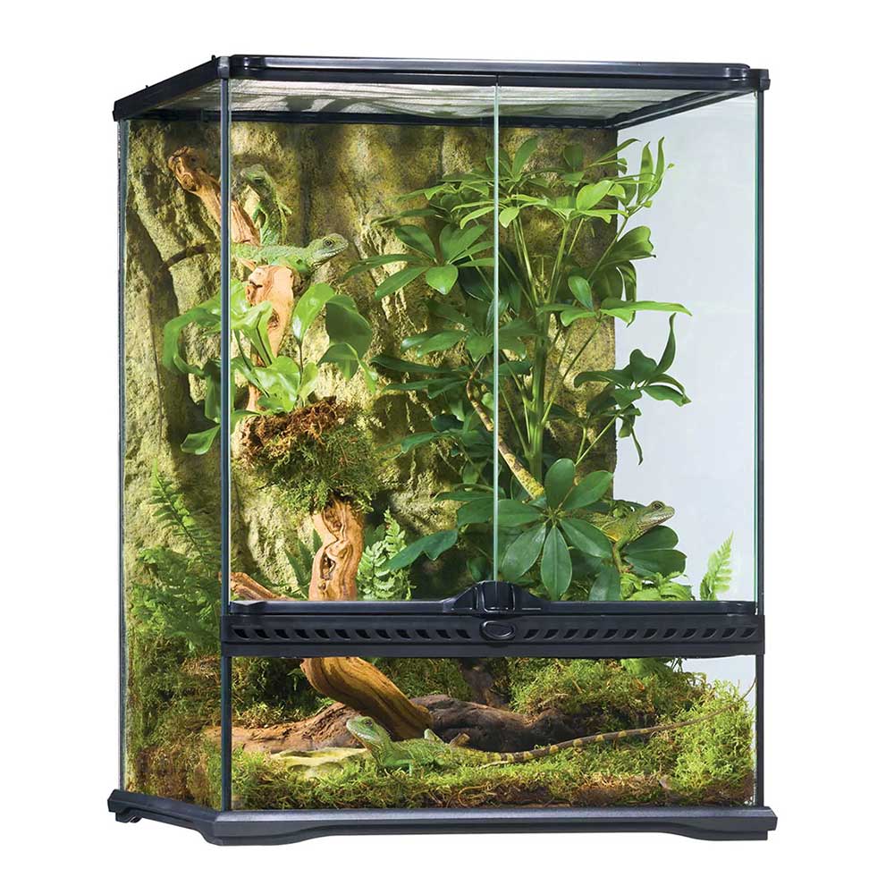 Exoterra Terrario Natural Terrarium Small Tall 45x45x60cm