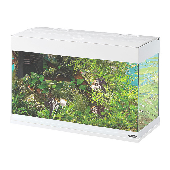 Ferplast Acquario Dubai 80 LED Bianco 81x36x h 51 cm 125 l