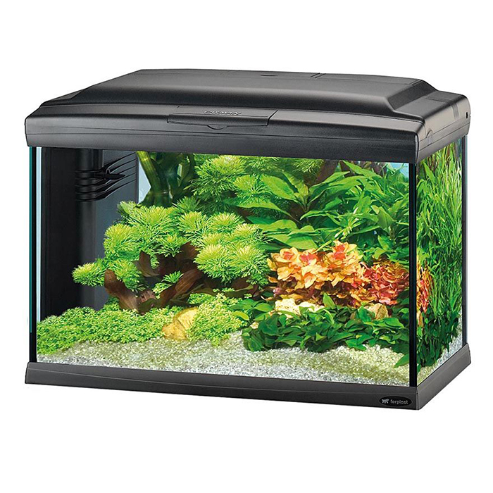 Ferplast Acquario Cayman 60 LED Professional Nero 75 l 62,5x34,5x45,5h cm
