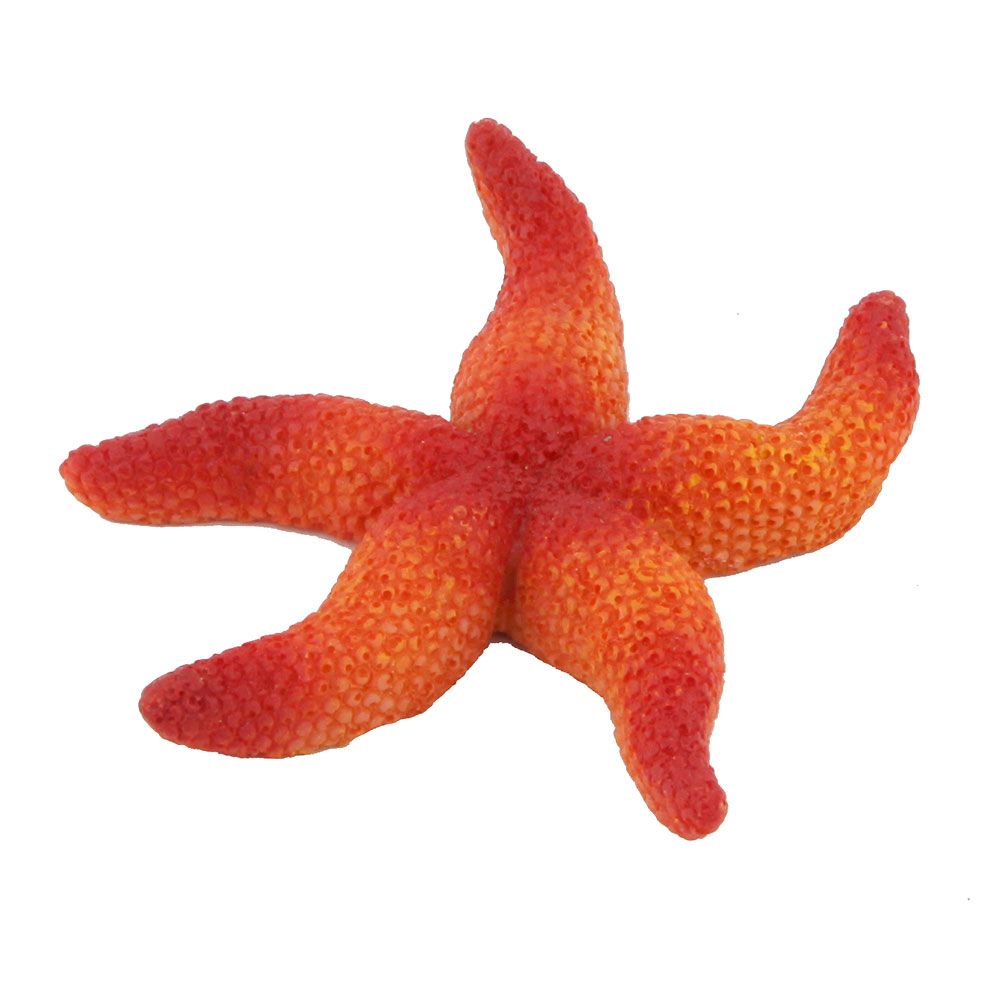Ferplast Stella Arancio 7cm