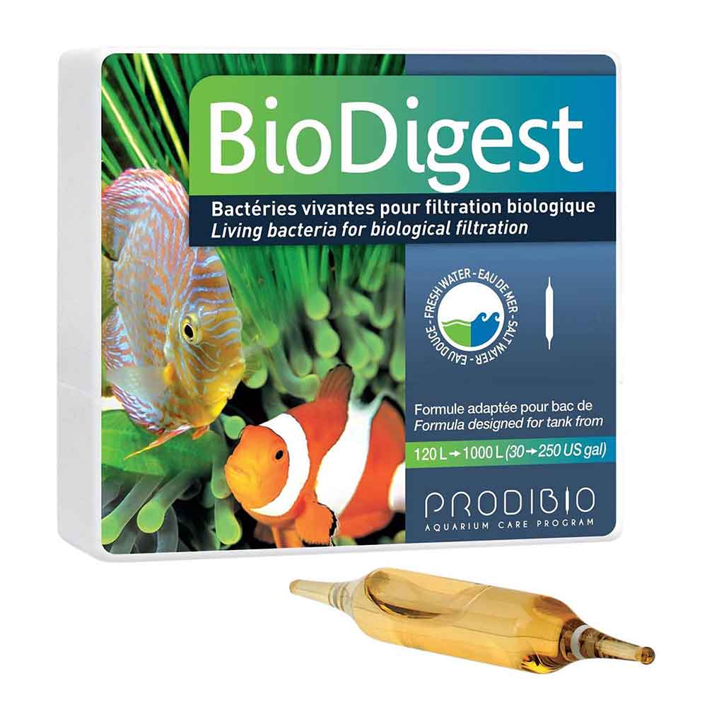 Prodibio BioDigest Dolce e Marino 6 Fiale per 6.000 litri
