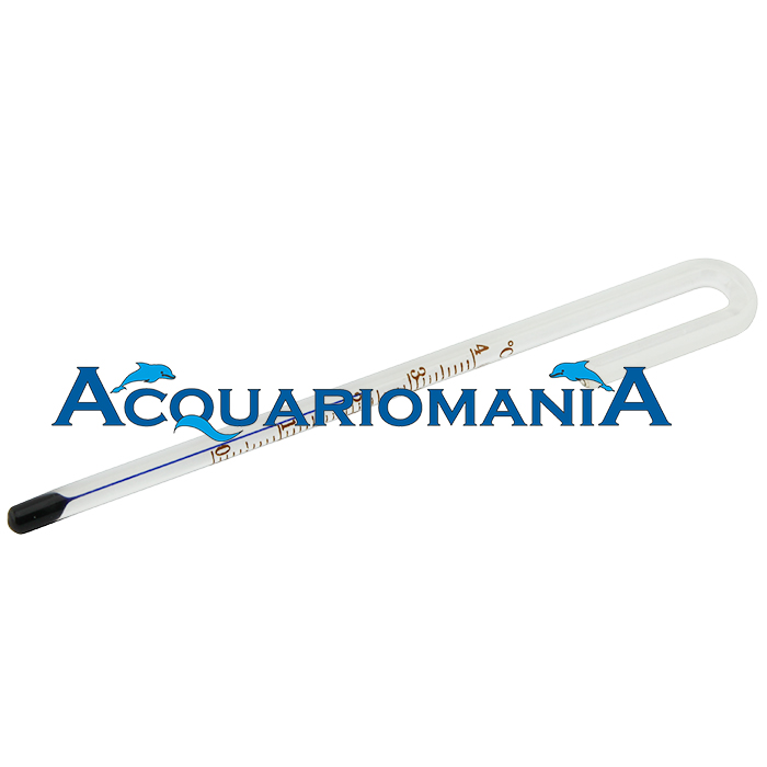 Wyin Termometro appeso per vetri spessore 10mm