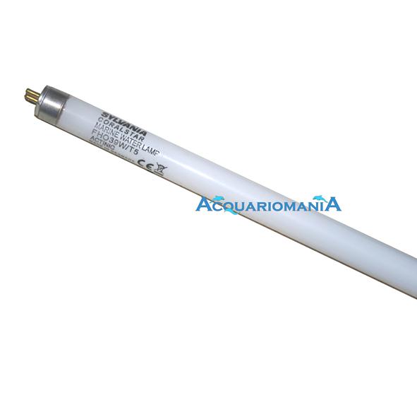 Sylvania Coral Star Lampada T5 Neon Marino attinica 39W 850mm