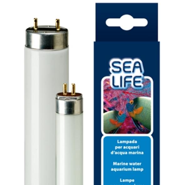 Ferplast Sealife 30W T8 895mm