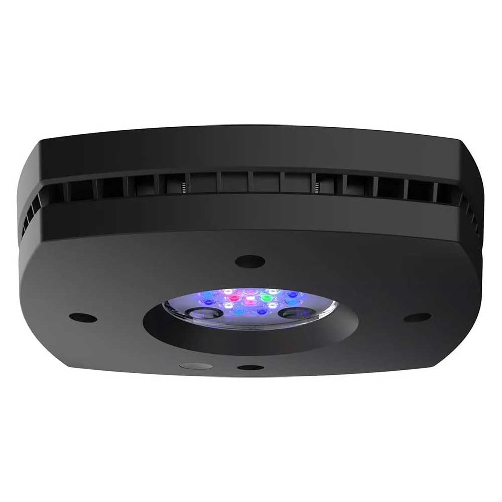 Aqua Illumination Prime 16HD Reef Plafoniera a Led 59W Nero per acqua marina