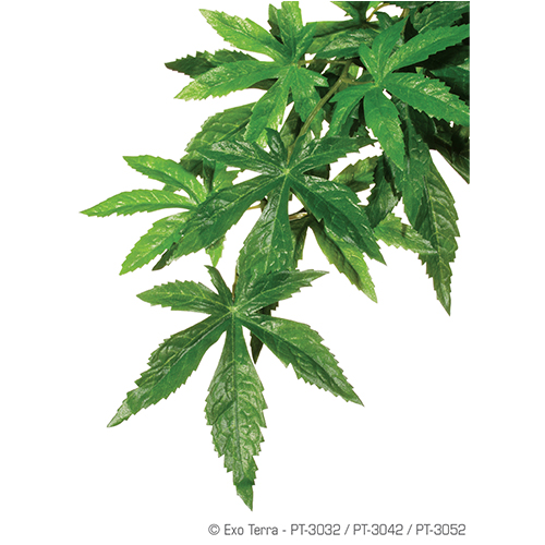 Exoterra Plant Abutilon Hanging small