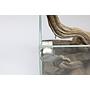 Chihiros Magnet Cleaner Mini Calamita pulivetri alta potenza per vetri 6-8mm