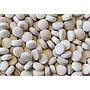 Sera Siporax Mini Substrato Biologico 35 g