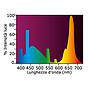 Askoll Lampada a neon Aqua Glo T8 15W 438mm