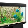 Juwel Sfondo interno 3D Cliff Light 60x55 cm