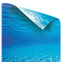 Juwel Sfondo Poster 2 esterno double face L 80x50 cm e 100x50 cm