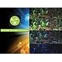 Askoll Acquario Pure LED XL Absolute Black 76x36x43,5h cm 94Lt