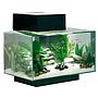 Askoll Acquario Fluval Edge 2.0 Led e Luce lunare 23Lt White 43x26x22,4 New 2018