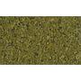 Tetra Phyll Vegetale a scaglie 250ml 52gr