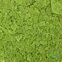 Askoll Diet Scaglia Spirulina 250ml 40gr