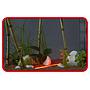 Askoll Stick Light Led Rosso Sommergibile 1.5W 26cm