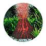 Hydor H2Show Kit Bubble Maker con Vulcano Led Rosso