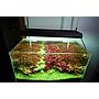 Chihiros Plafoniera a Led RGB VIVID II Bluetooth per acquario dolce 43cm 130W 8000K° nera