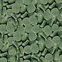 Sera Spirulina Tabs Nature 24 pastiglie