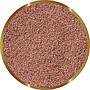 Shg Premium Cisti di Artemia 10g