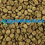 New Life Spectrum Algae Max Mini Wafers affondante per pesci erbivori dolce e marino 7,5mm 125g
