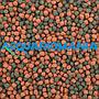 Shg Premium Marino Large 50gr