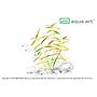 Aqua Art Hygrophila sp. "Tiger" in Vitro Cup