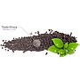 Glas Garten Environment Aquarium Soil Powder Fondo fertile 4l