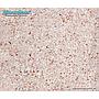 Nature's Ocean Natural Bio-Activ Live Aragonite Reef Substrate 7.26Kg