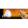 Exoterra Solar Glo 125W Lampada come il sole