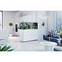 Oase HighLine Room Divider Acquario con Supporto Quercia 302 litri