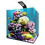 Aqpet Kubic Reef Box 40 Acquario Completo Acqua marina 64 litri 40x40x40h