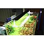 Chihiros Lampada a Led AII601 26W 60cm