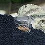 Hobby Planaria X Trappola Planarie