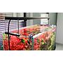 Chihiros WRGB 30 II Pro Plafoniera Led per Acqua dolce Nero 37W da 30 a 45cm