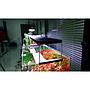 Chihiros WRGB 30 II Pro Plafoniera Led per Acqua dolce Nero 37W da 30 a 45cm