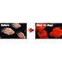 Hikari Blood Red Parrot  mini pellet alimento con peperoncino 333g