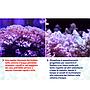 Maxspect Nano Tech Phosphree Antifosfati 250ml