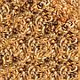 Sera Raffy I Nature Leccornie con Gammarus per Tartarughe e Sauri 250ml 36gr